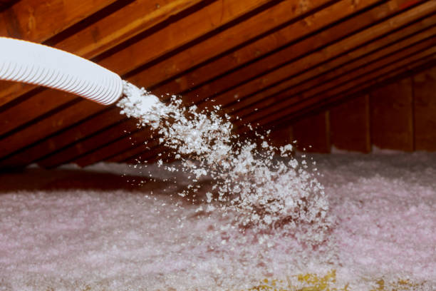 Best Types of Insulation in Greenbriar, VA