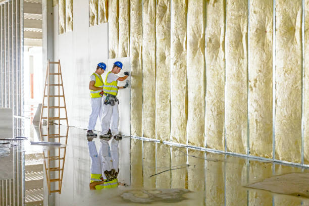 Best Residential Insulation in Greenbriar, VA